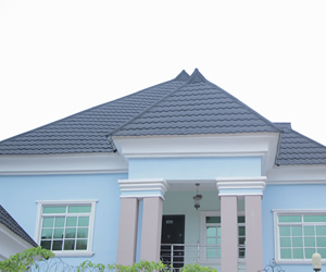 Commercial Roofing Project